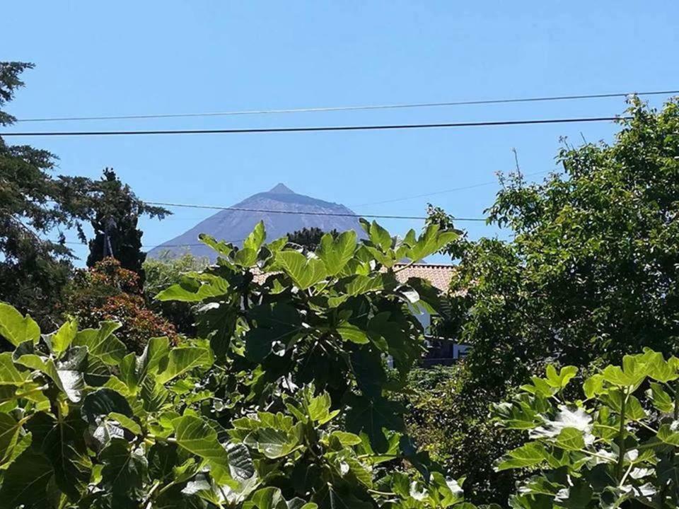 Casinha De Pedra Holiday home